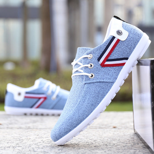 Chaussures en toile à semelle souple pour homme, chaussures de sport et de loisirs en tissu ancien de Pékin, chaussures à pois